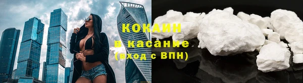 индика Навашино