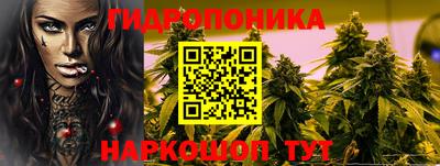 дмт Берёзовский