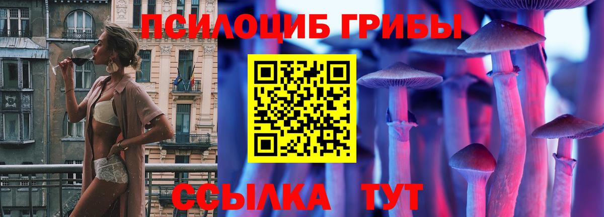 Котельники  Псилоцибиновые грибы мицелий  Вход с VPN 